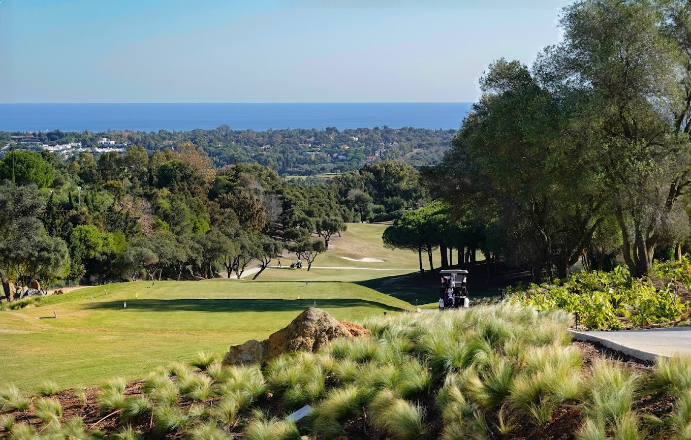 Sotogrande